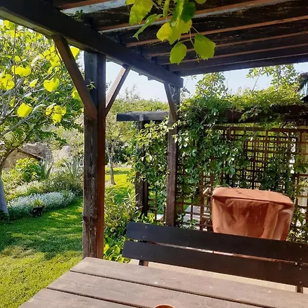 ذا غاليبولي هاوسيز إيجيأبات