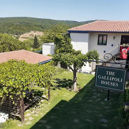 The Gallipoli *