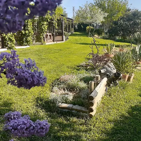 The Gallipoli * Eceabat