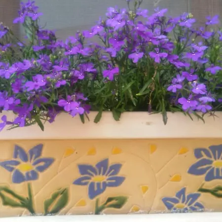 Apartamento The Gallipoli