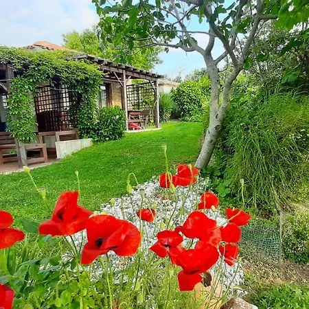 Apartment The Gallipoli
