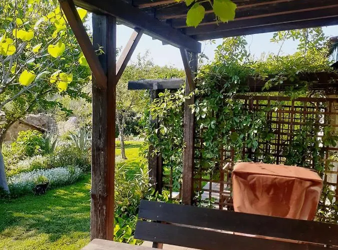 The Gallipoli 에체밧